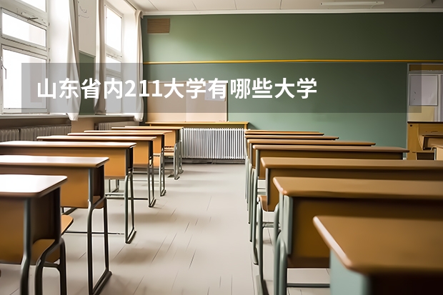 山东省内211大学有哪些大学