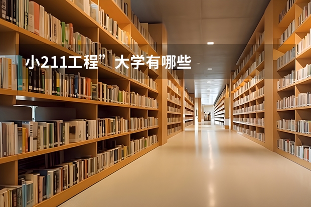 小211工程”大学有哪些