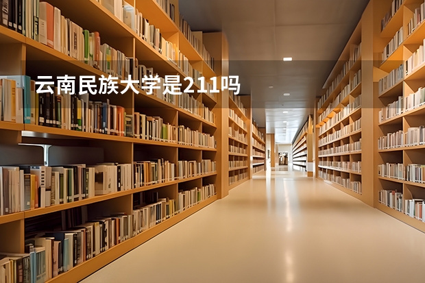 云南民族大学是211吗