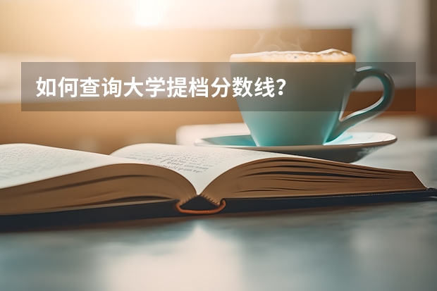 如何查询大学提档分数线？