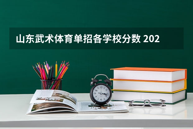 山东武术体育单招各学校分数 2023年体育单招各学校分数线