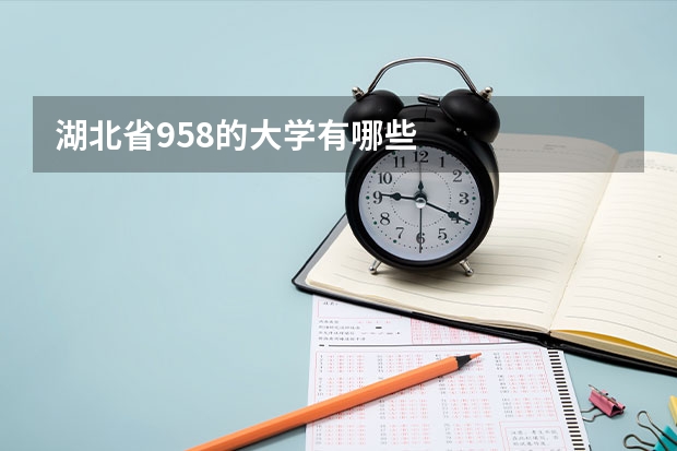 湖北省958的大学有哪些