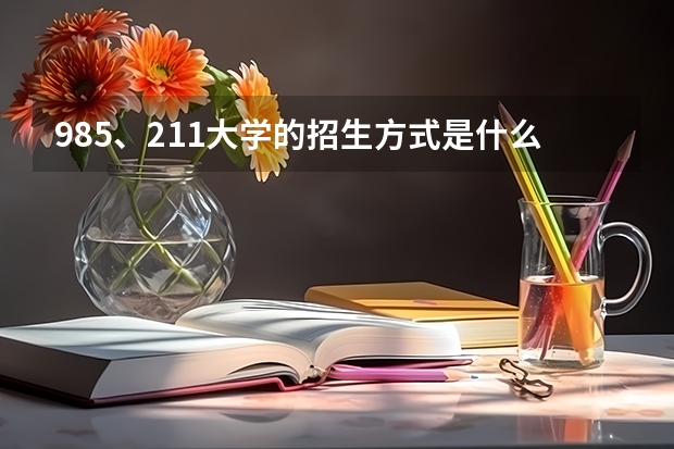 985、211大学的招生方式是什么