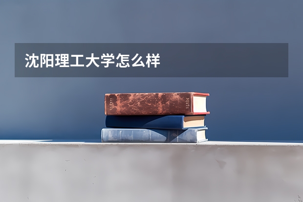 沈阳理工大学怎么样