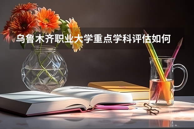 乌鲁木齐职业大学重点学科评估如何