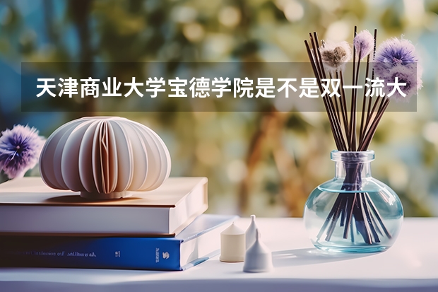 天津商业大学宝德学院是不是双一流大学(历年分数参考)