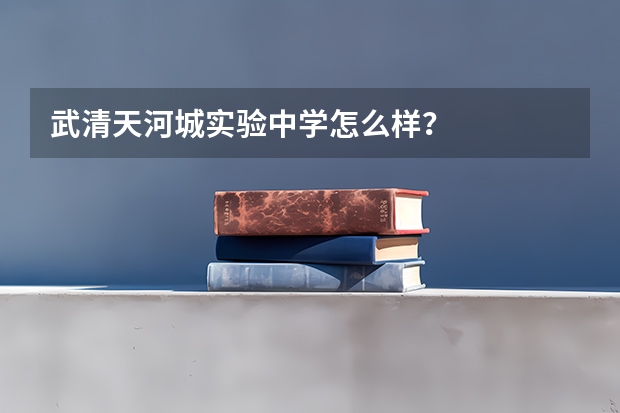 武清天河城实验中学怎么样？