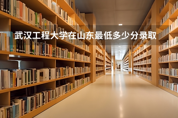 武汉工程大学在山东最低多少分录取