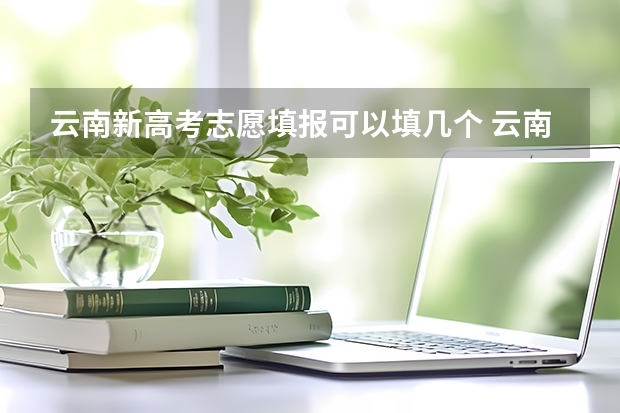 云南新高考志愿填报可以填几个 云南省高考志愿可以填几个学校？