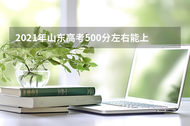 2021年山东高考500分左右能上什么样的大学