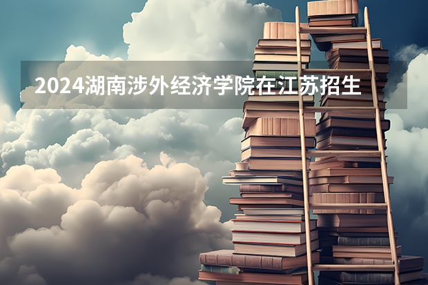 2024湖南涉外经济学院在江苏招生计划情况怎么样