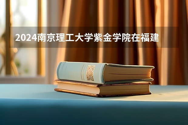 2024南京理工大学紫金学院在福建招生计划情况