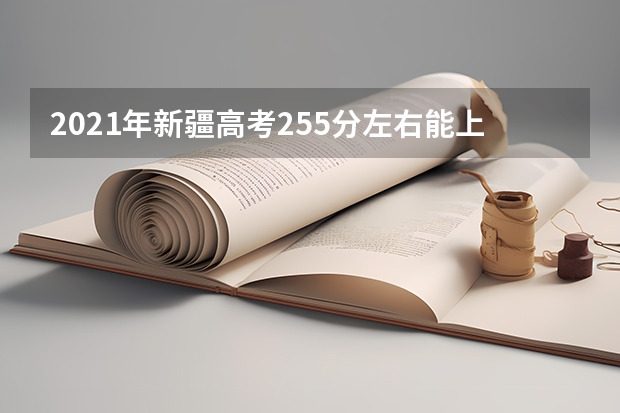 2021年新疆高考255分左右能上什么样的大学