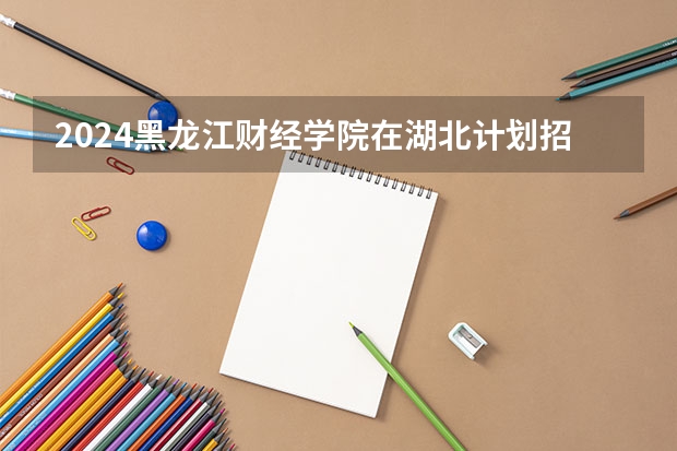 2024黑龙江财经学院在湖北计划招生多少人