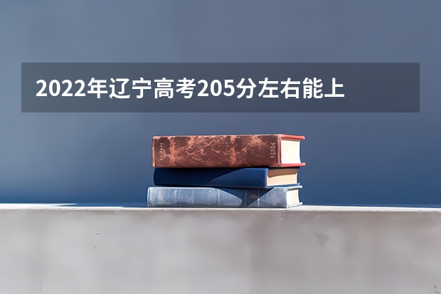 2022年辽宁高考205分左右能上什么样的大学