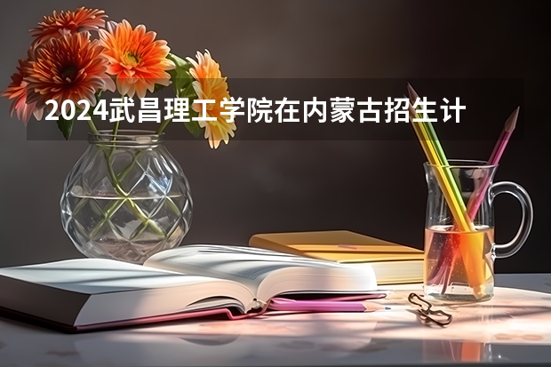 2024武昌理工学院在内蒙古招生计划情况如何